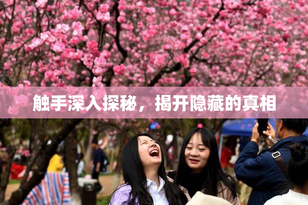 触手深入探秘，揭开隐藏的真相