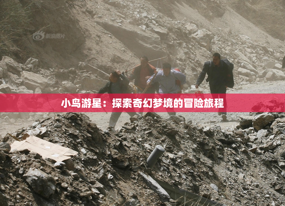 小鸟游星：探索奇幻梦境的冒险旅程