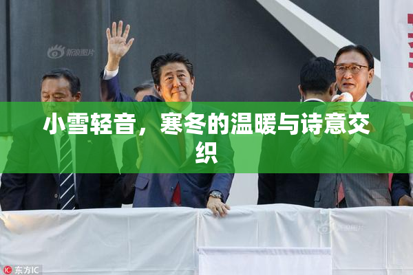 小雪轻音，寒冬的温暖与诗意交织