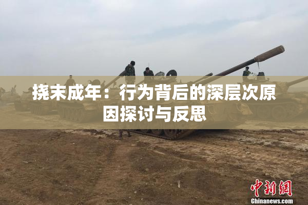 挠末成年：行为背后的深层次原因探讨与反思