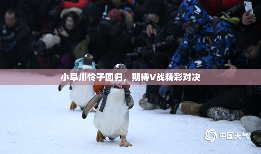 小早川怜子回归，期待V战精彩对决
