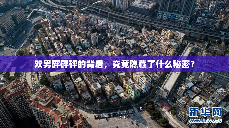 双男砰砰砰的背后，究竟隐藏了什么秘密？