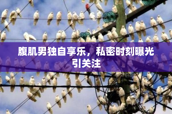 腹肌男独自享乐，私密时刻曝光引关注