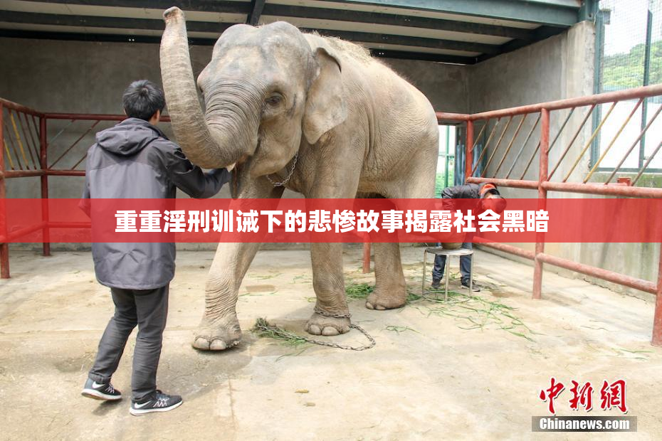 重重淫刑训诫下的悲惨故事揭露社会黑暗