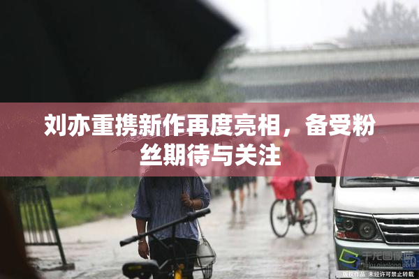 刘亦重携新作再度亮相，备受粉丝期待与关注