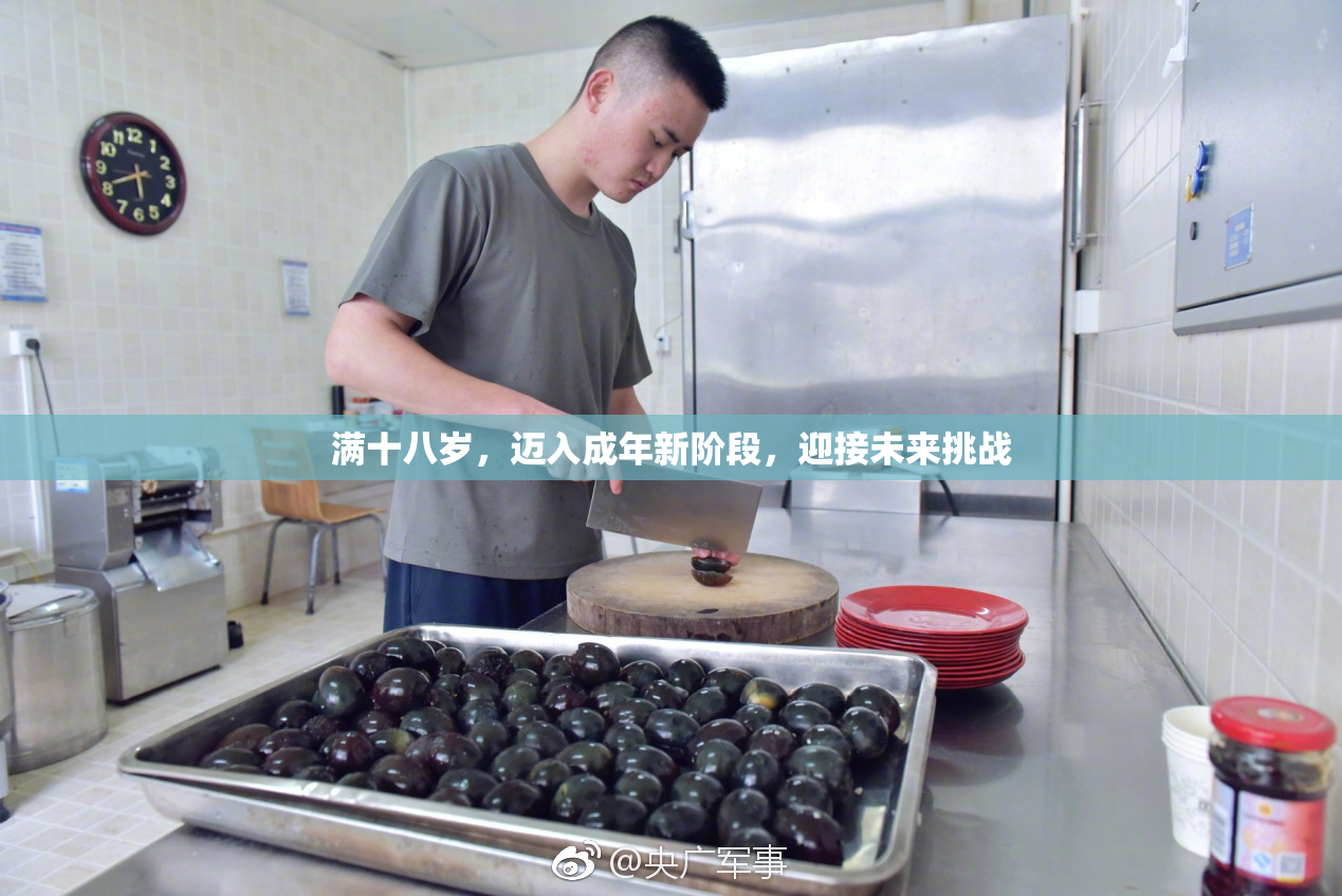满十八岁，迈入成年新阶段，迎接未来挑战