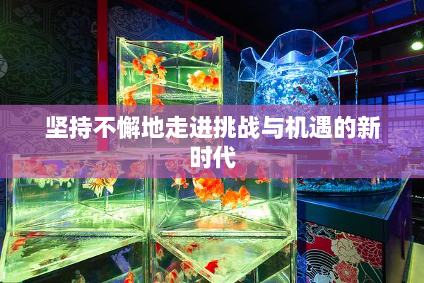 坚持不懈地走进挑战与机遇的新时代