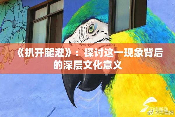 《扒开腿灌》：探讨这一现象背后的深层文化意义