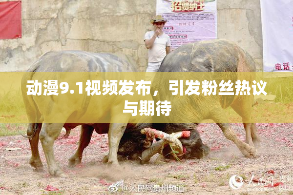 动漫9.1视频发布，引发粉丝热议与期待