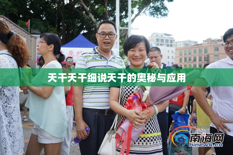 天干天干细说天干的奥秘与应用