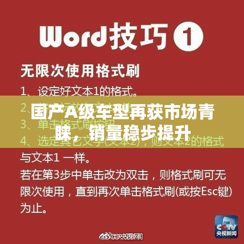 国产A级车型再获市场青睐，销量稳步提升