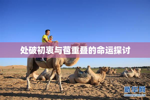 处破初衷与苞重叠的命运探讨