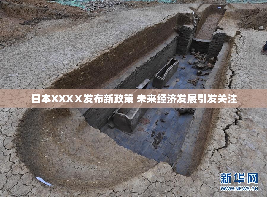 日本XXXⅩ发布新政策 未来经济发展引发关注