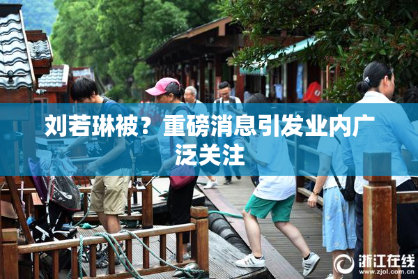 刘若琳被？重磅消息引发业内广泛关注