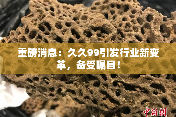 重磅消息：久久99引发行业新变革，备受瞩目！