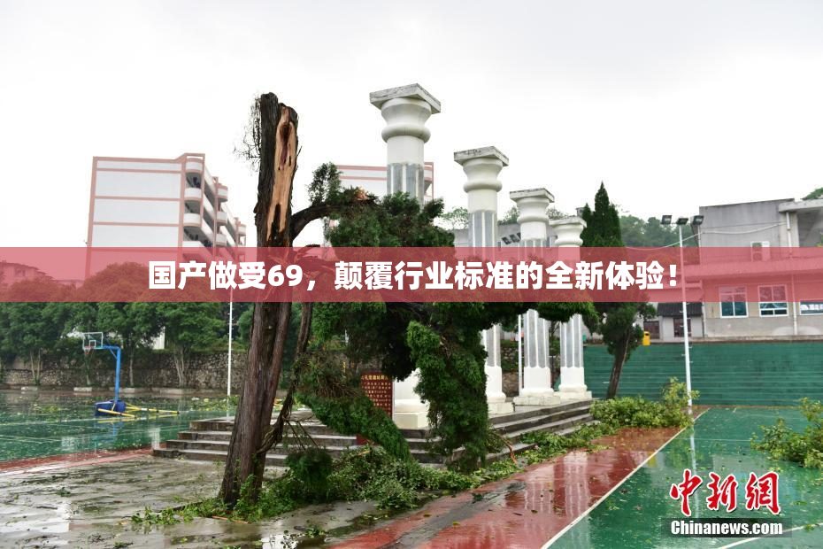 国产做受69，颠覆行业标准的全新体验！