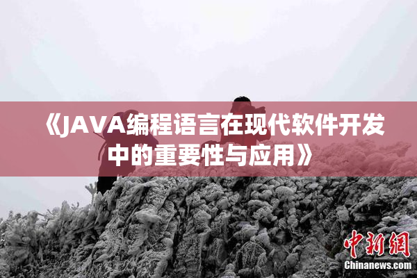 《JAVA编程语言在现代软件开发中的重要性与应用》