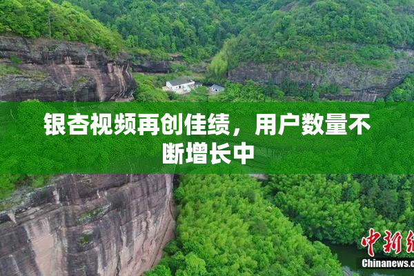 银杏视频再创佳绩，用户数量不断增长中