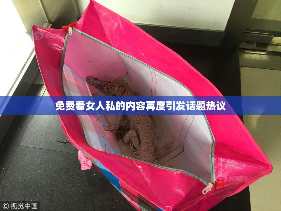 免费看女人私的内容再度引发话题热议