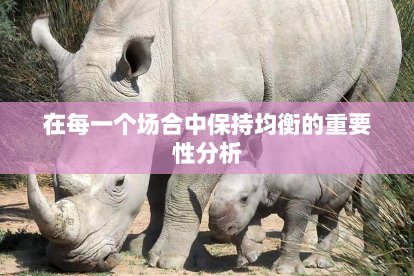 在每一个场合中保持均衡的重要性分析