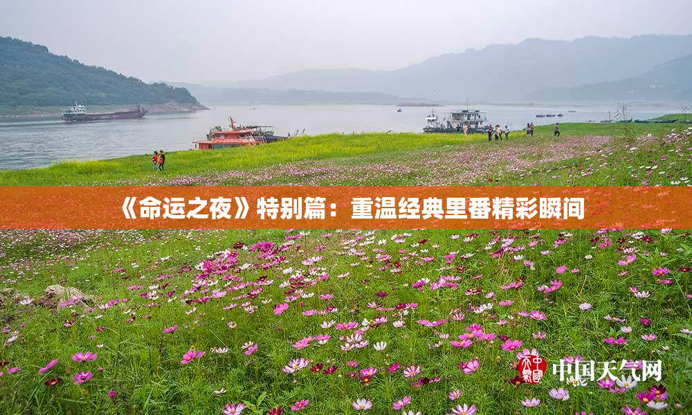 《命运之夜》特别篇：重温经典里番精彩瞬间