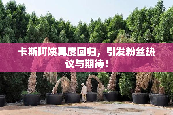 卡斯阿姨再度回归，引发粉丝热议与期待！