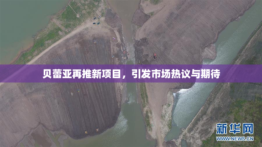 贝蕾亚再推新项目，引发市场热议与期待
