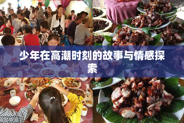 少年在高潮时刻的故事与情感探索