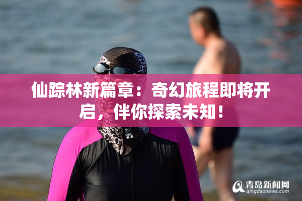 仙踪林新篇章：奇幻旅程即将开启，伴你探索未知！