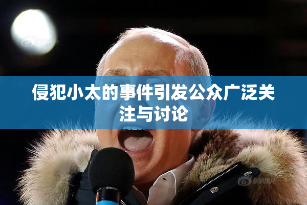 侵犯小太的事件引发公众广泛关注与讨论