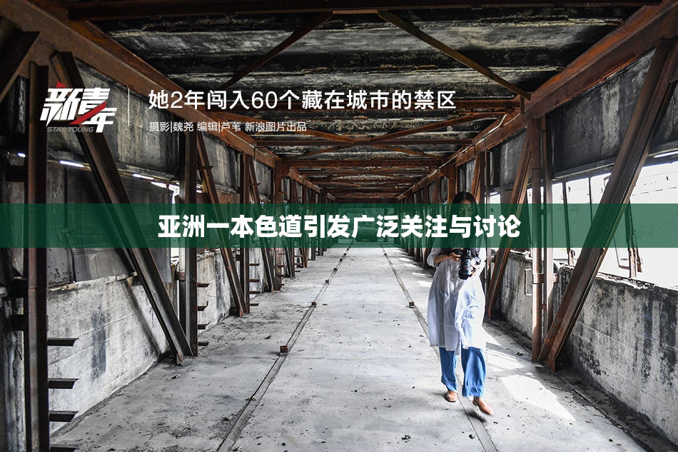 亚洲一本色道引发广泛关注与讨论