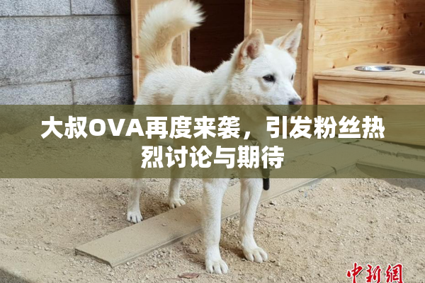 大叔OVA再度来袭，引发粉丝热烈讨论与期待