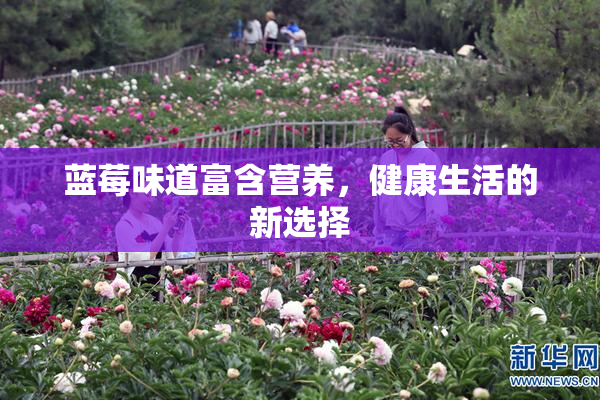 蓝莓味道富含营养，健康生活的新选择