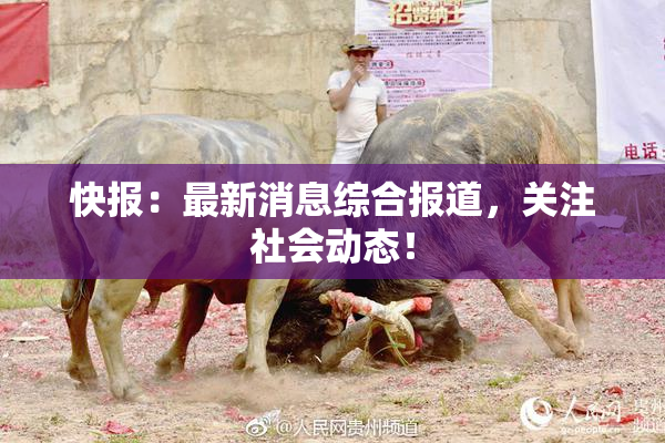 快报：最新消息综合报道，关注社会动态！