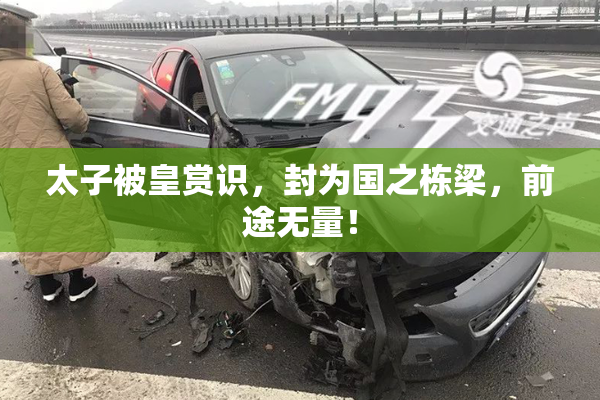 太子被皇赏识，封为国之栋梁，前途无量！