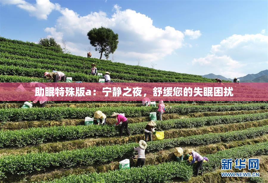 助眠特殊版a：宁静之夜，舒缓您的失眠困扰