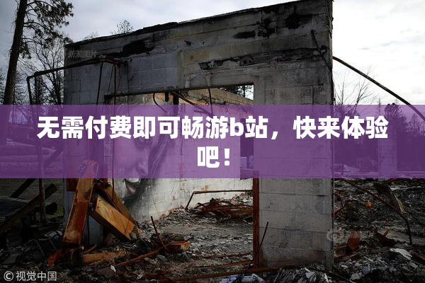 无需付费即可畅游b站，快来体验吧！
