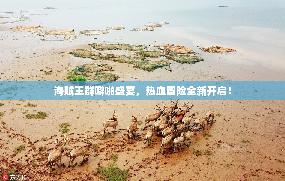 海贼王群噼啪盛宴，热血冒险全新开启！
