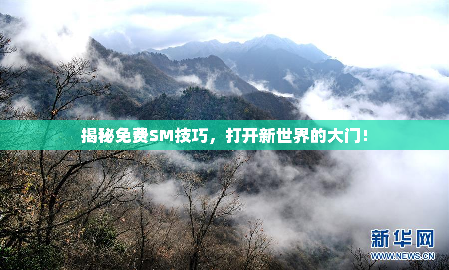 揭秘免费SM技巧，打开新世界的大门！