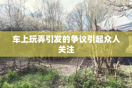 车上玩弄引发的争议引起众人关注