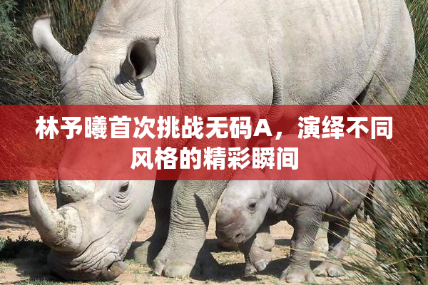林予曦首次挑战无码A，演绎不同风格的精彩瞬间