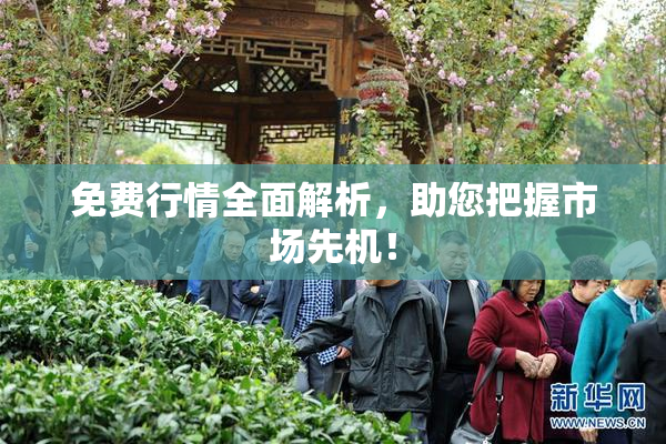 免费行情全面解析，助您把握市场先机！