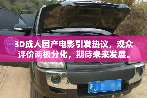 3D成人国产电影引发热议，观众评价两极分化，期待未来发展。