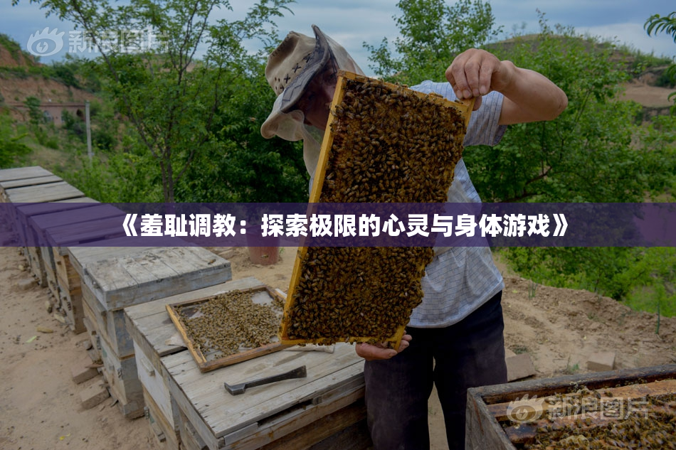 《羞耻调教：探索极限的心灵与身体游戏》