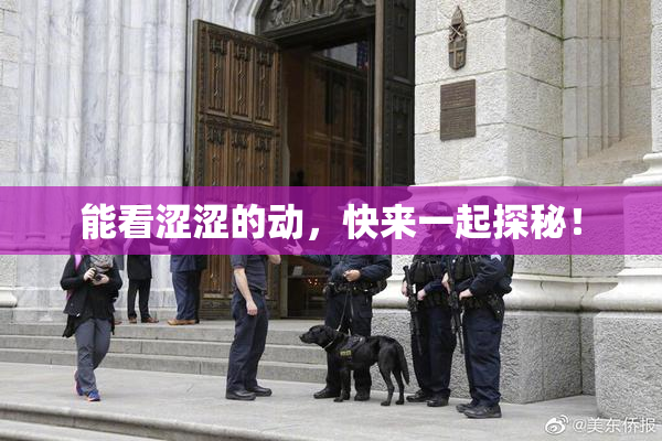 能看涩涩的动，快来一起探秘！