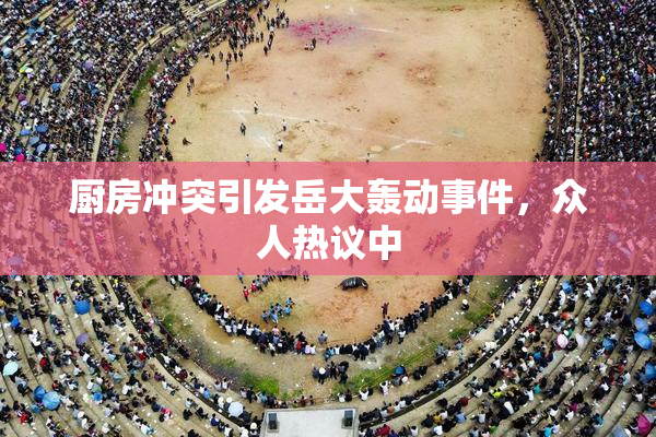 厨房冲突引发岳大轰动事件，众人热议中