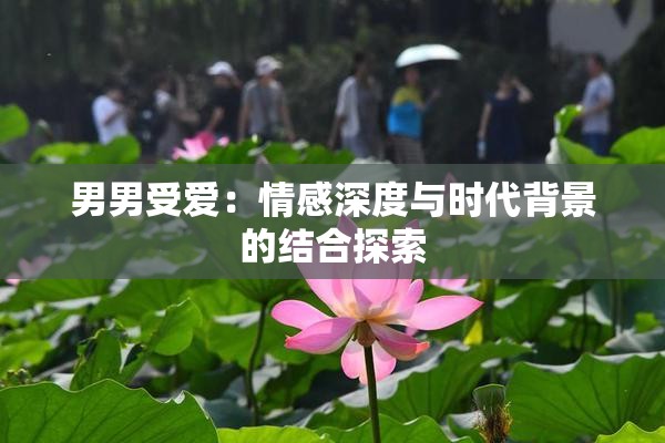 男男受爱：情感深度与时代背景的结合探索