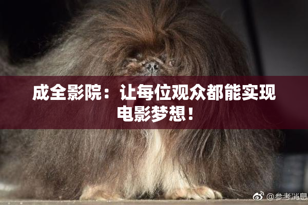 成全影院：让每位观众都能实现电影梦想！