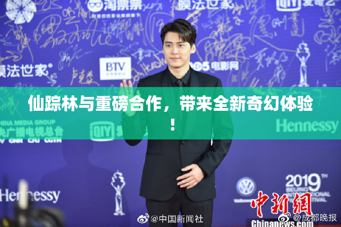 仙踪林与重磅合作，带来全新奇幻体验！