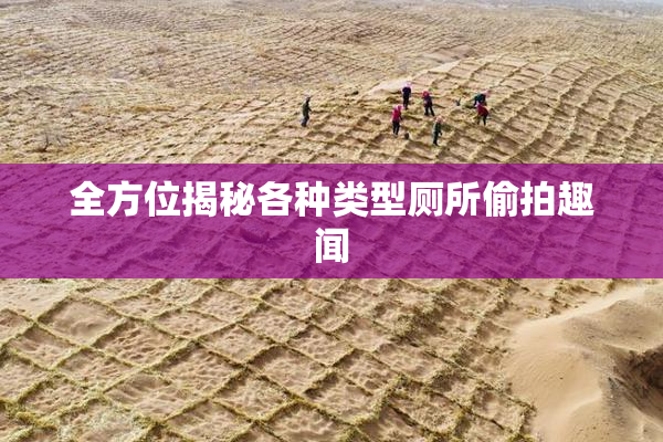 全方位揭秘各种类型厕所偷拍趣闻